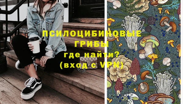 ешки Бронницы