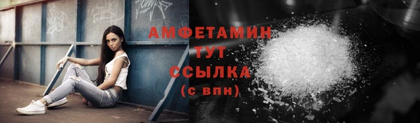 гидра Бородино