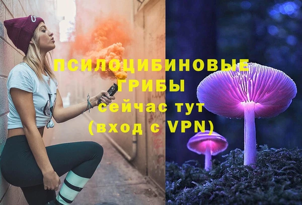 гидра Бородино