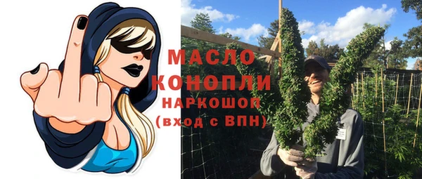 гидра Бородино