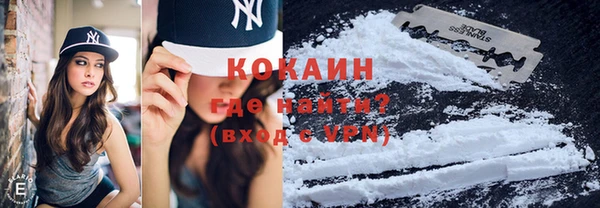 ешки Бронницы