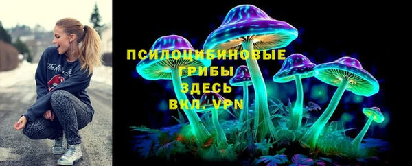 гидра Бородино