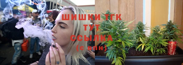 ешки Бронницы