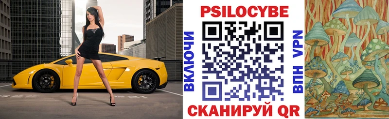 shop Telegram  Людиново  Псилоцибиновые грибы GOLDEN TEACHER 